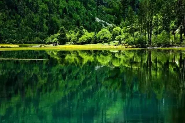 幻想纹章3.4